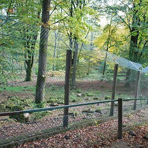 Autumn in Skanes Animal Park - the wolf enclosure