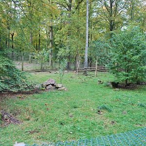 Autumn in Skanes Animal Park - red fox enclosure
