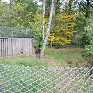 Autumn in Skanes Animal Park - the enclosure for arctic fox