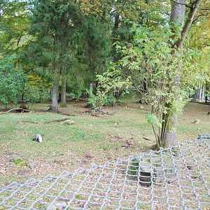 Autumn in Skanes Animal Park - the enclosure for arctic fox
