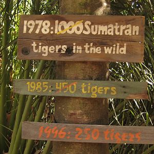 Education at Melbourne Zoo