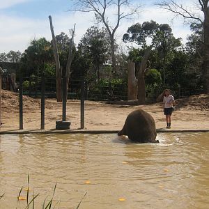 Melbourne Zoo