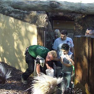 Blondie is 13.10 kg!