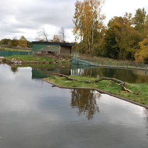 Autumn in Skanes Animal Park - the beaver enclosure
