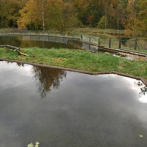 Autumn in Skanes Animal Park - the beaver enclosure
