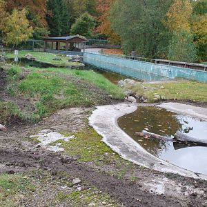Autumn in Skanes Animal Park - the beaver enclosure