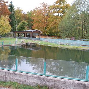 Autumn in Skanes Animal Park - the beaver enclosure