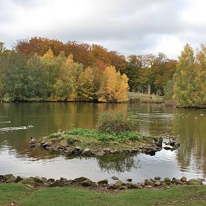 Autumn in Skanes Animal Park - the birds lake
