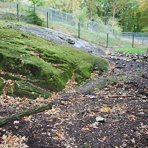 Autumn in Skanes Animal Park - badger enclosure