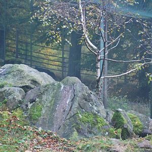 Autumn in Skanes Animal Park - eagle owl aviary