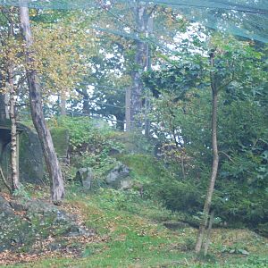 Autumn in Skanes Animal Park - eagle owl aviary