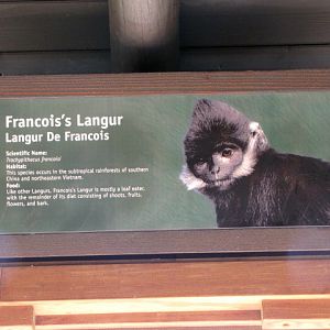 First Posted Francois' Langur Sign