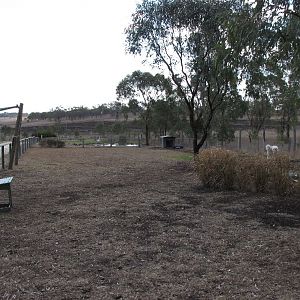 Darling Downs Zoo 19 Oct 2009 - Waterfowl Ponds