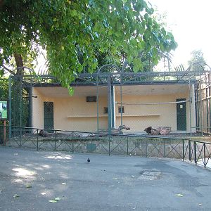 Armadillo enclosure at Bioparco Rome 15/10/09