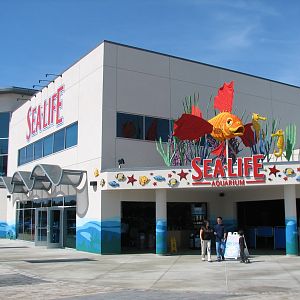 Aquarium Exterior