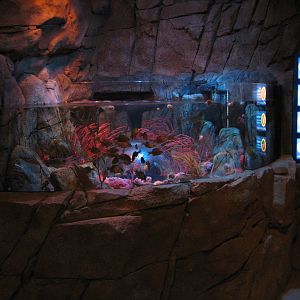 San Francisco Harbor - Open-top Exhibit