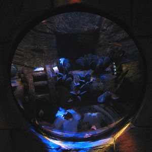 San Francisco Harbor - Mussel Exhibit