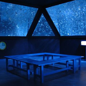 Shoaling Ring - Seating Area