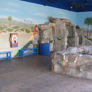 Southern California Tide Pool - Touch Exhibit