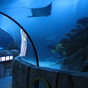 Lost City of Atlantis - Tunnel