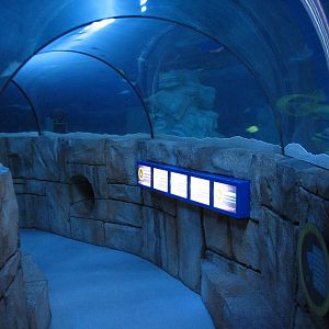 Lost City of Atlantis - Tunnel