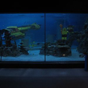 Lost City of Atlantis - Viewing Area