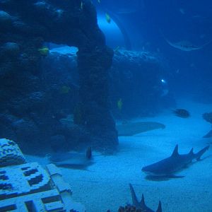 Lost City of Atlantis - Interior