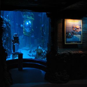 Lost City of Atlantis - View from Shipwreck