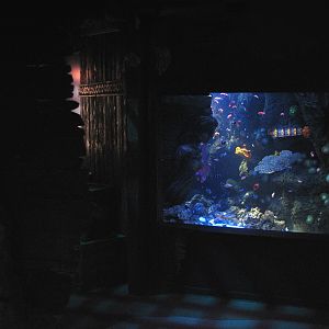 Shipwreck - Clown Fish Exhibit