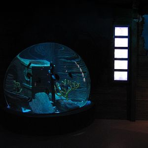 Shipwreck - Exhibit
