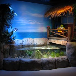 Surf Break - Open-top Exhibit