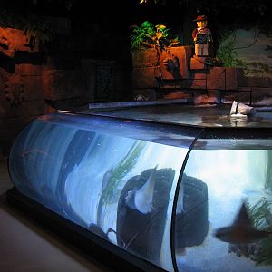 Ray Lagoon - Ray Exhibit