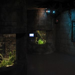 Kingdom of the Seahorse - Seahorse Exhibits