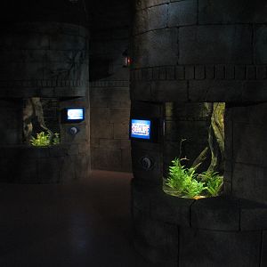 Kingdoms of the Seahorse - Seahorse Exhibits