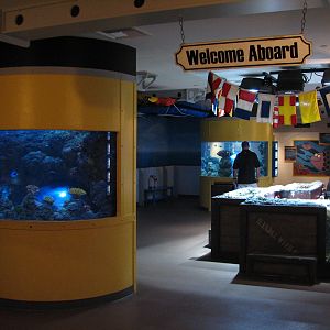 Discovery Zone Touch Pool - Entry