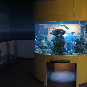 Discovery Zone Touch Pool - Pop-up Bubble Tank