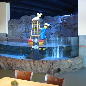 Ocean Journey Cafe - Dining Area Exhibit
