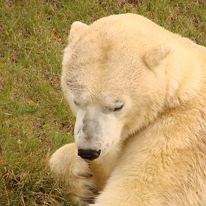 Zoo Visit - October 5th 2009