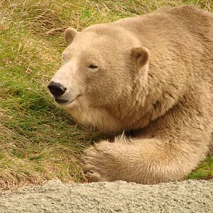 Toronto Zoo Visit - October 5th, 2009