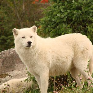 Toronto Zoo Visit - October 5th, 2009