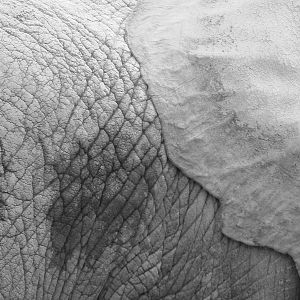 Toronto Zoo Visit - October 5th, 2009