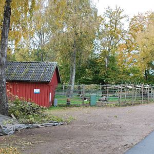 A few more autumn pictures from Skanes Animal Park