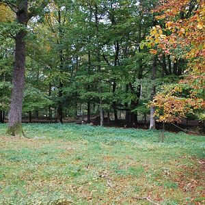 A few more autumn pictures from Skanes Animal Park