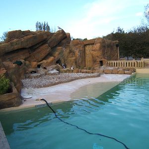 Penguin enclosure