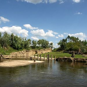 ZOOM - Hippo exhibit