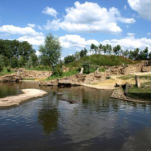 ZOOM - Hippo exhibit