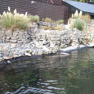 Seal enclosure 22/10/09