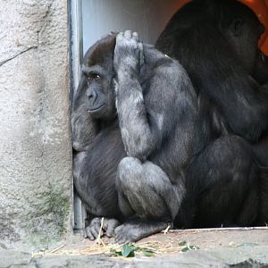 Kimya - reacting to noisy school kids