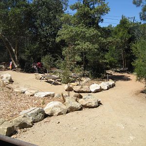 Horseshoe Aviary gardens