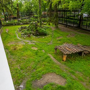 enclosure of tiger #1